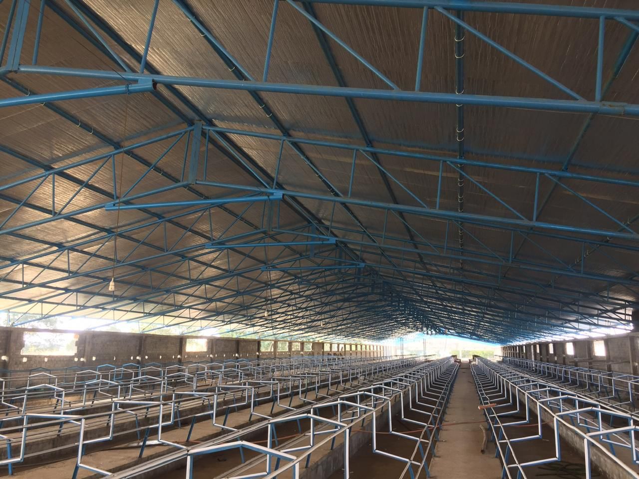 Alutix Insulation to Insulate your Poultry Shed/Farms